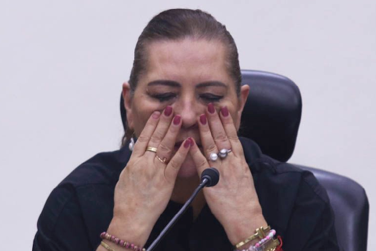 Taddei presentó oficialmente su renuncia al INE ante la Cámara de Diputados
