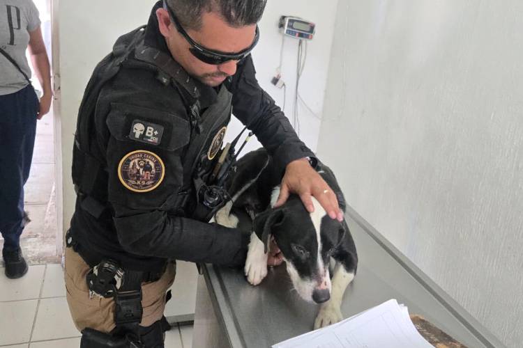 Imputan al que baleó a perro en Tlaquepaque