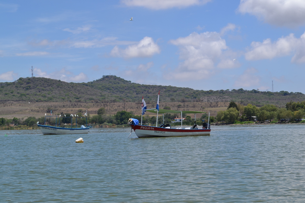 FORTALECEN EQUIPO. Para fortalecer este estudio, el doctor Sebastián Gradilla Hernández buscó la colaboración de José de Anda Sánchez, investigador del área de Tecnología Ambiental de Ciatej. (Foto: Especial)