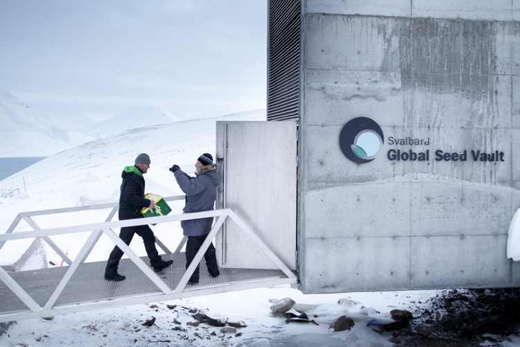 Fotografía de archivo, que muestra una vista general de la entrada de la Bóveda Global de Semillas de Svalbard (SGSV), en las afueras de Longyearbyen (Noruega). (Foto: Cortesía EFE).