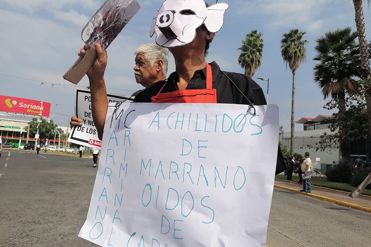 (Foto: Michelle Vázquez) 