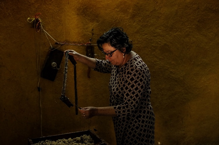 EN CONTRA. La producción de agave y aguacate afecta a los apicultores de Atoyac. (Foto: Michelle Vázquez)