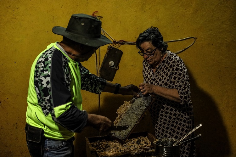 EN CONTRA. La producción de agave y aguacate afecta a los apicultores de Atoyac. (Foto: Michelle Vázquez)
