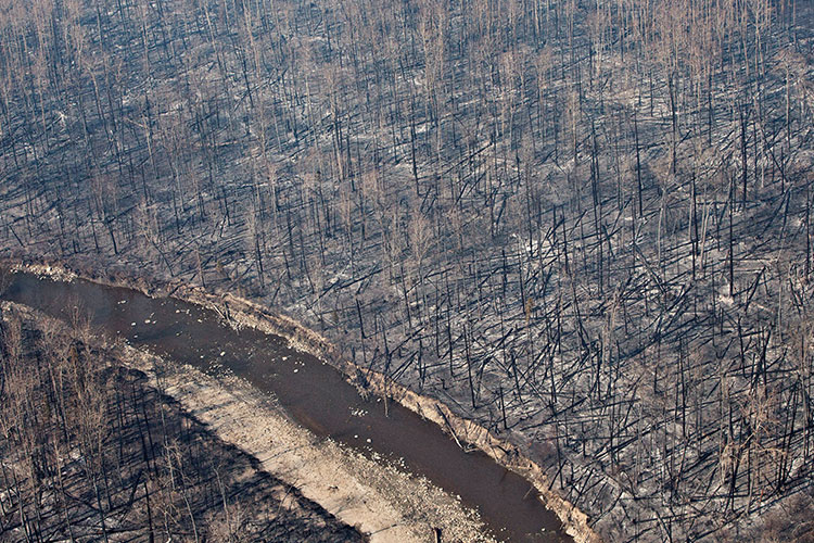 (Foto: AP) 